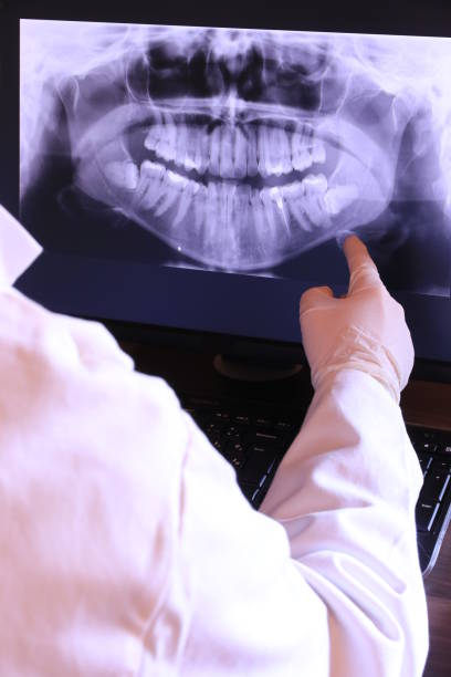 Best Emergency X-Rays and Diagnostics in College, AK
